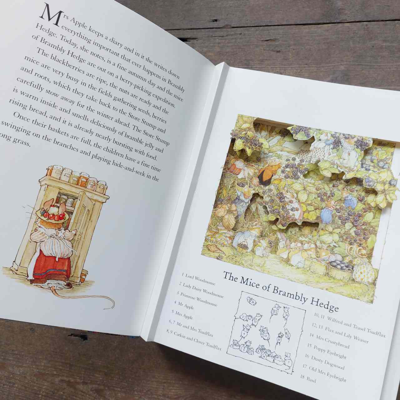 The Brambly Hedge Pop Up Book