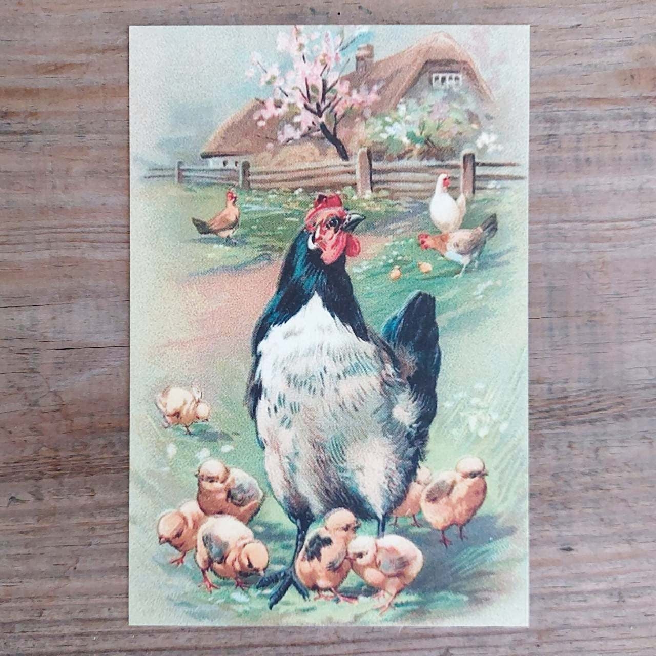 Vintage Easter Postcard - Mother Hen & Chicks