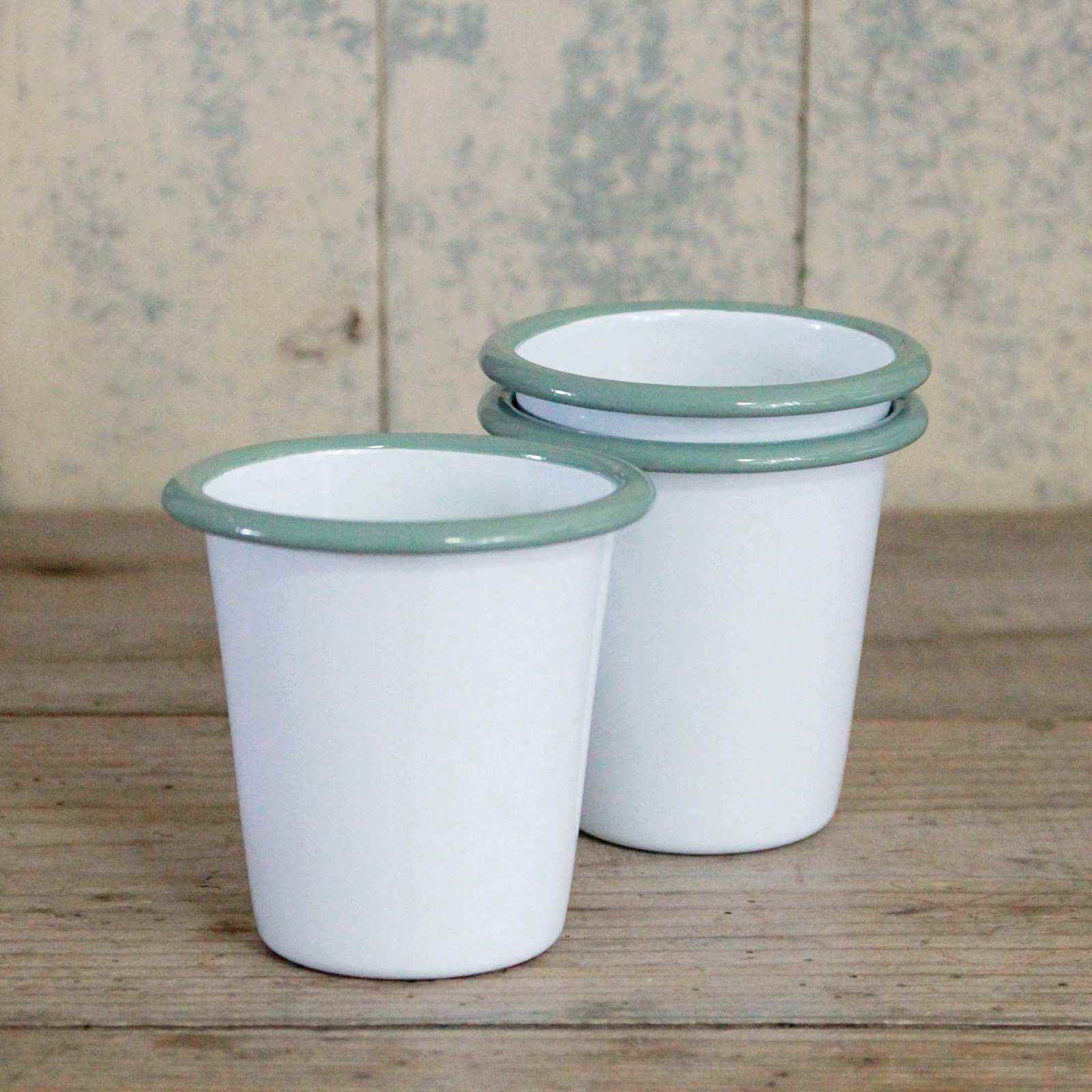 Enamel Tumbler - Sage Rim