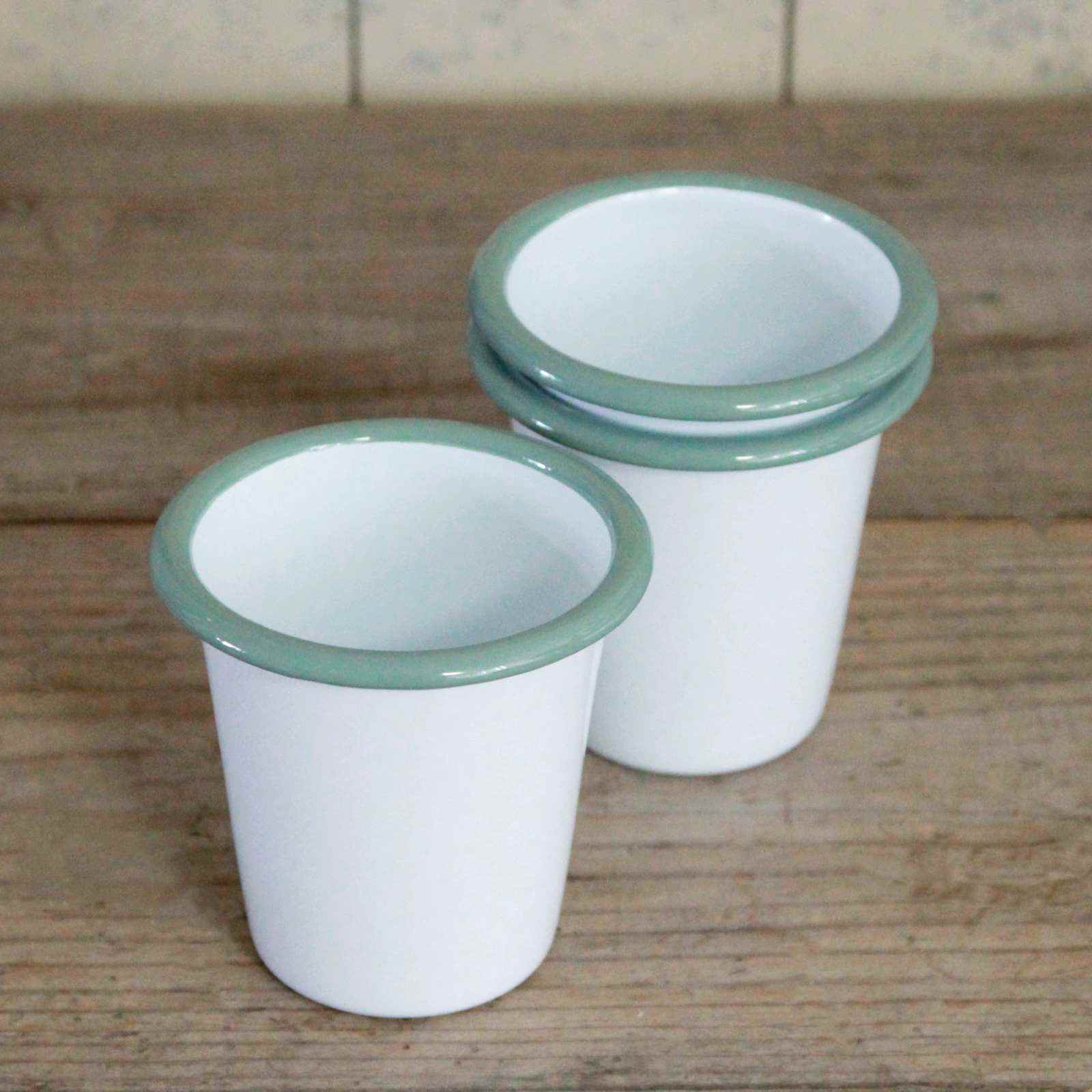 Enamel Tumbler - Sage Rim