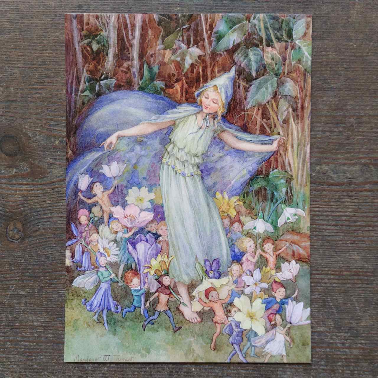 Vintage Flower Fairy Postcard