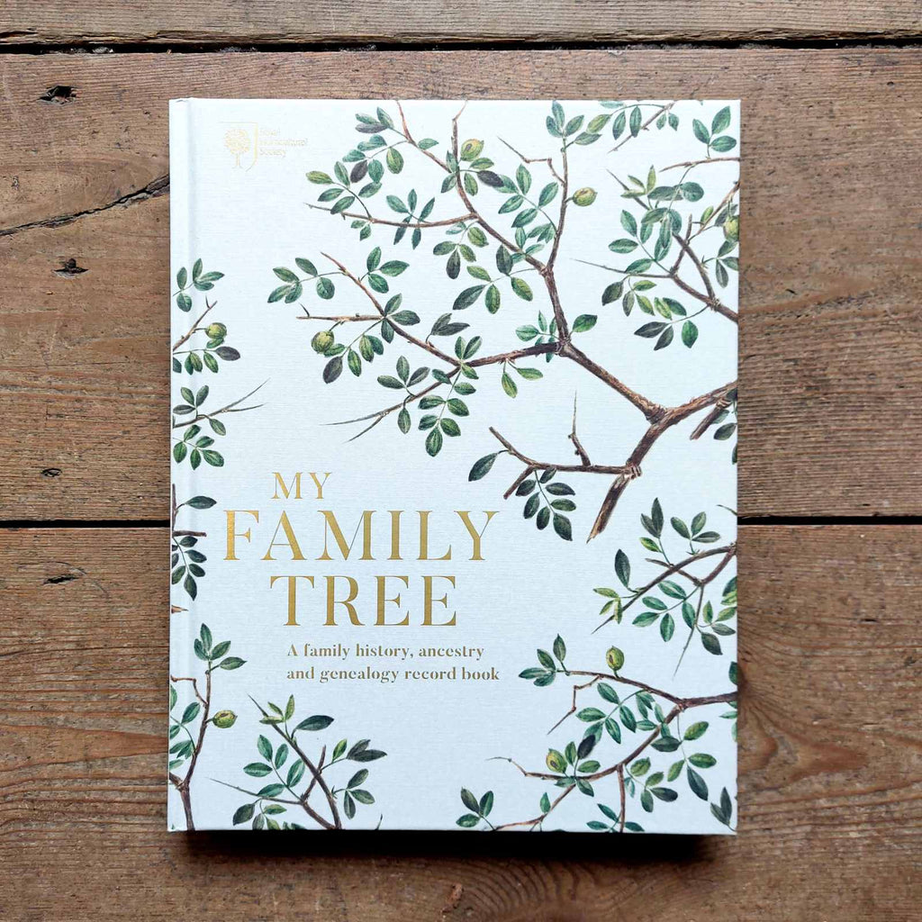 Our Family Tree: A History of Our Family: Poplar Books