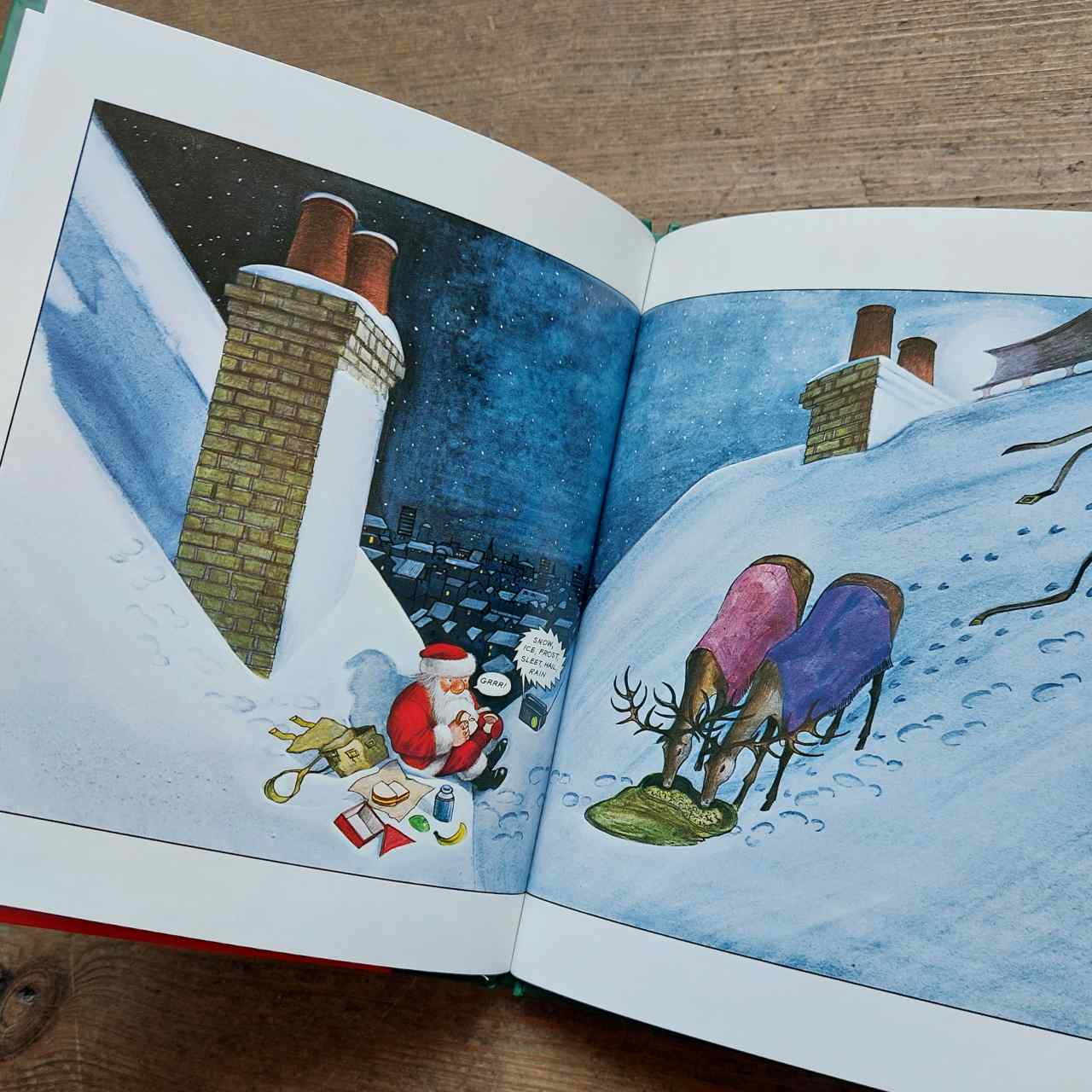 Father Christmas by Raymond Briggs