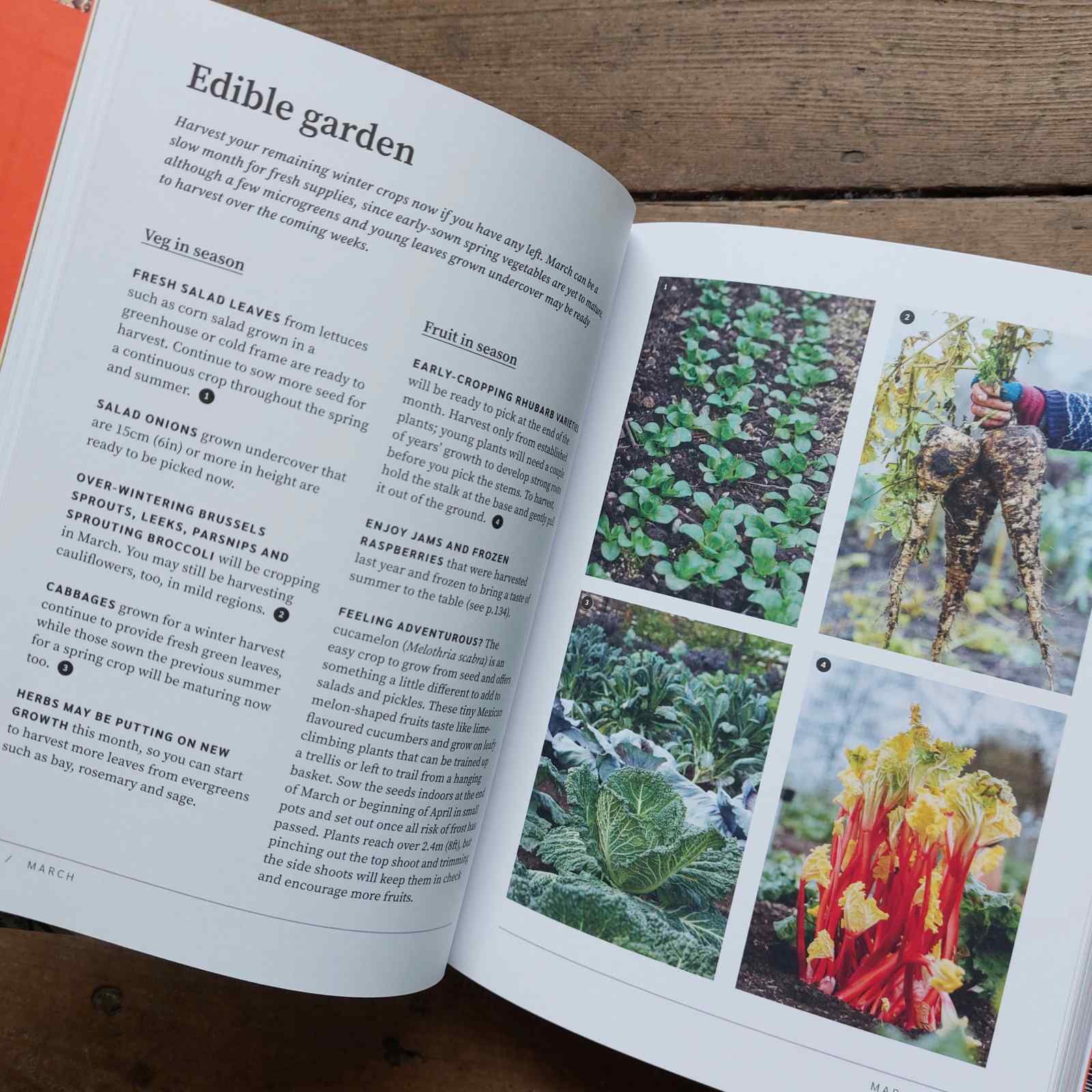 RHS Garden Almanac 2024