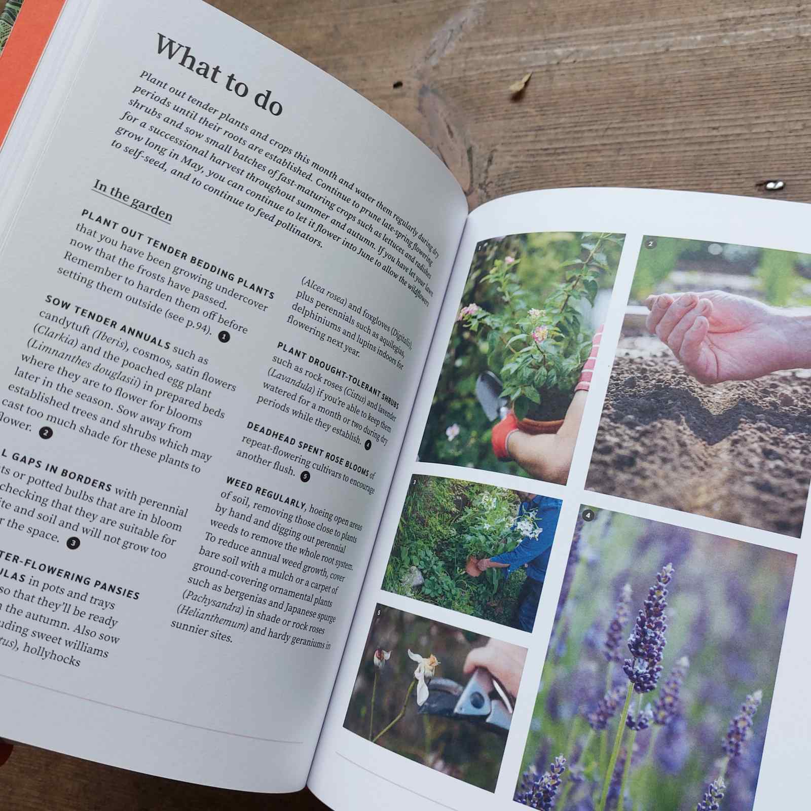 RHS Garden Almanac 2024