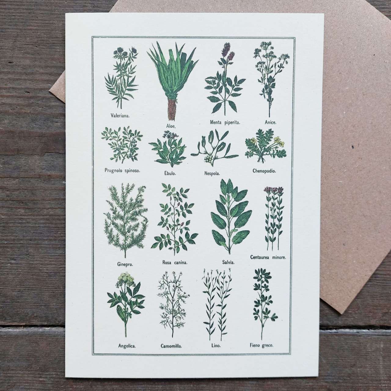 Vintage Greeting Card - Healthy Herbs