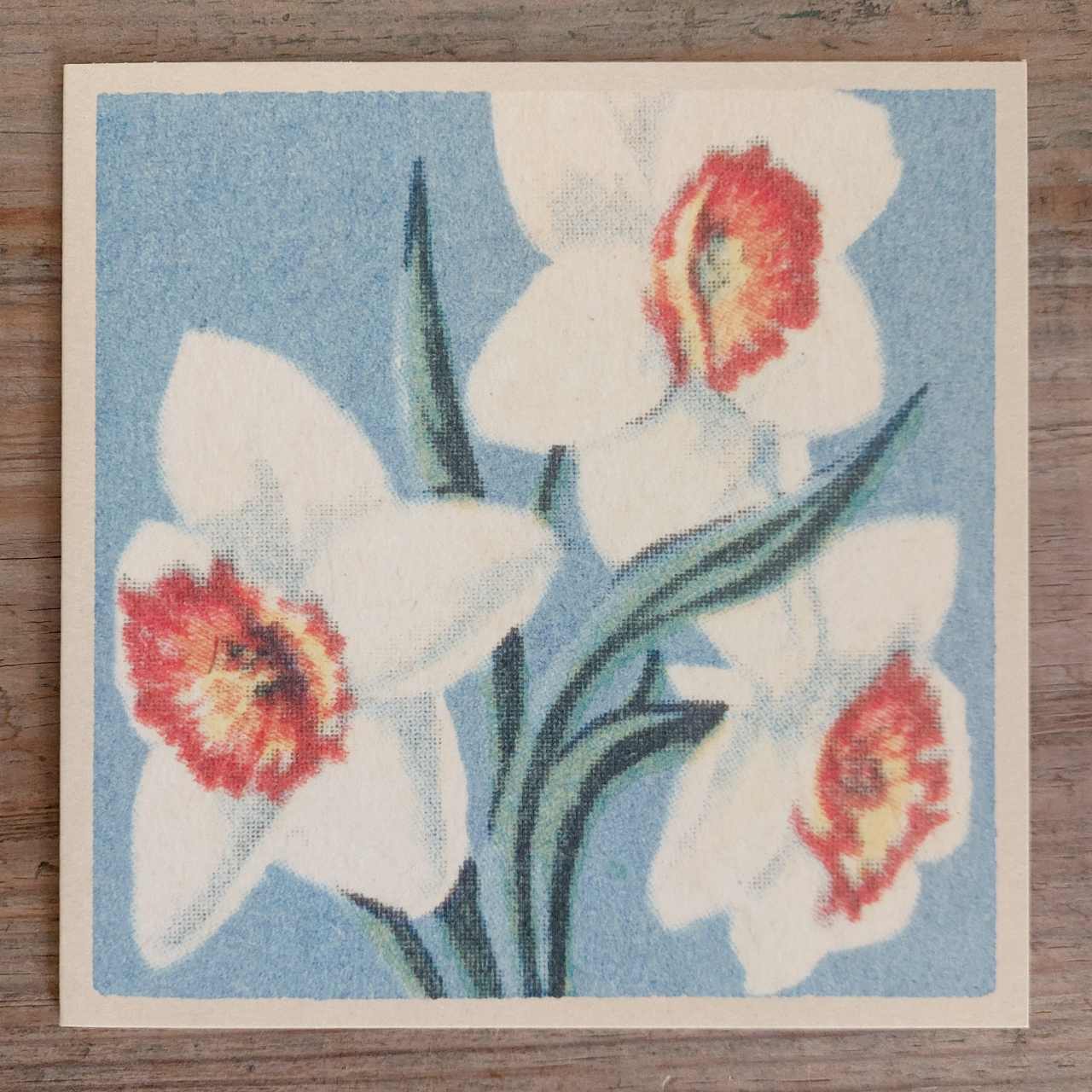 Mother’s Day Card - White Daffodils