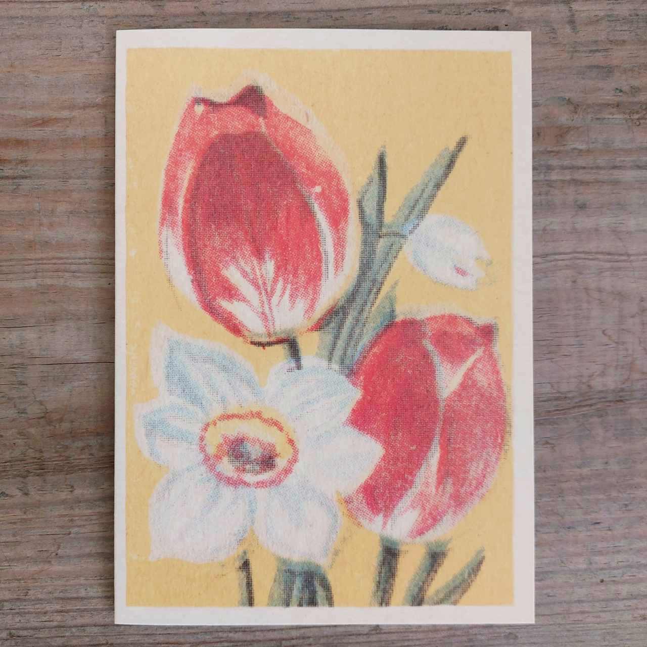 Mother’s Day Card - Tulips and Narcissi