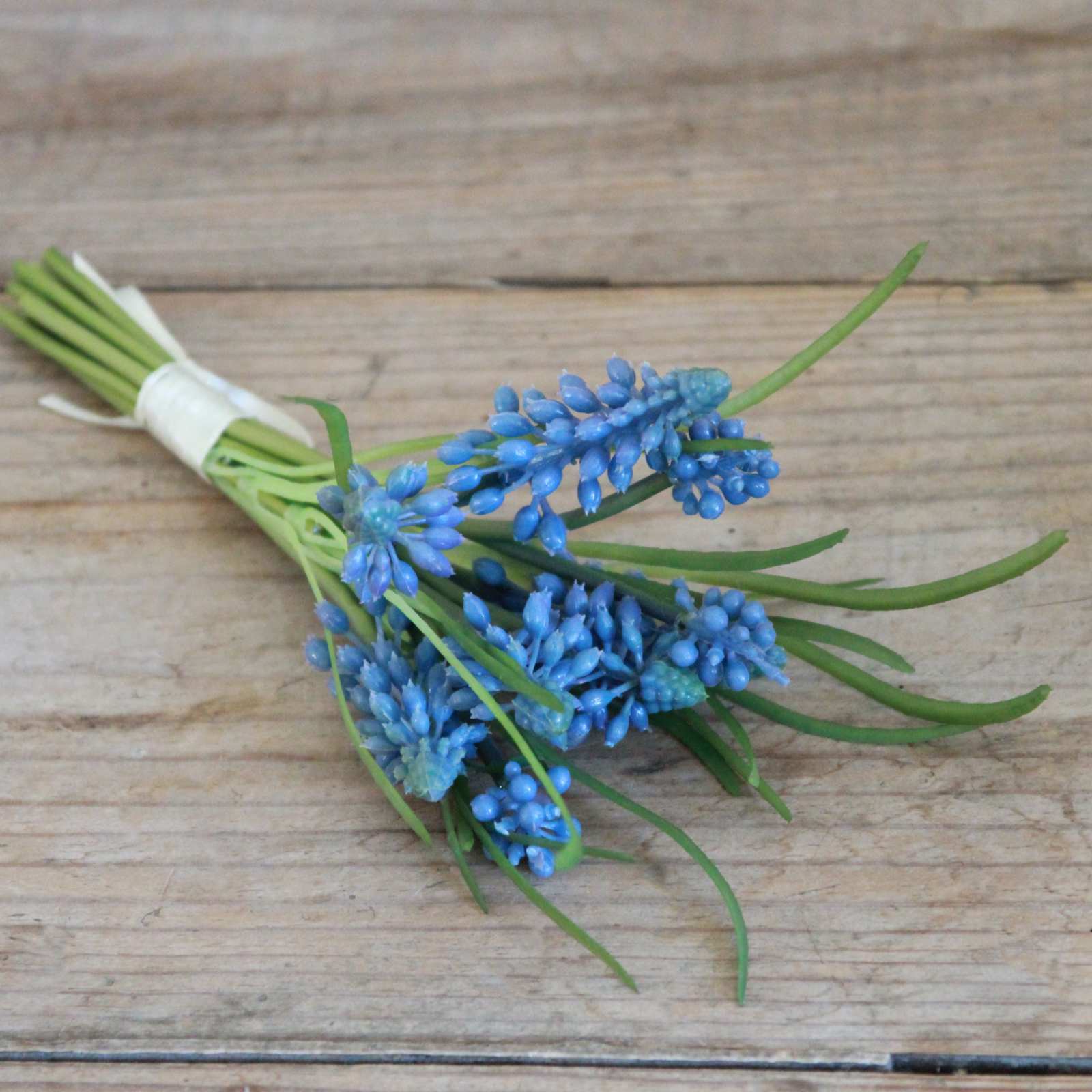 Bunch of Blue Muscari