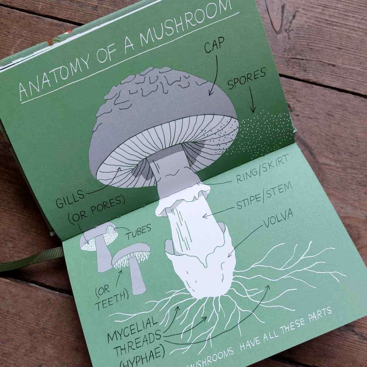 Mushroom Hunting Foraging Book