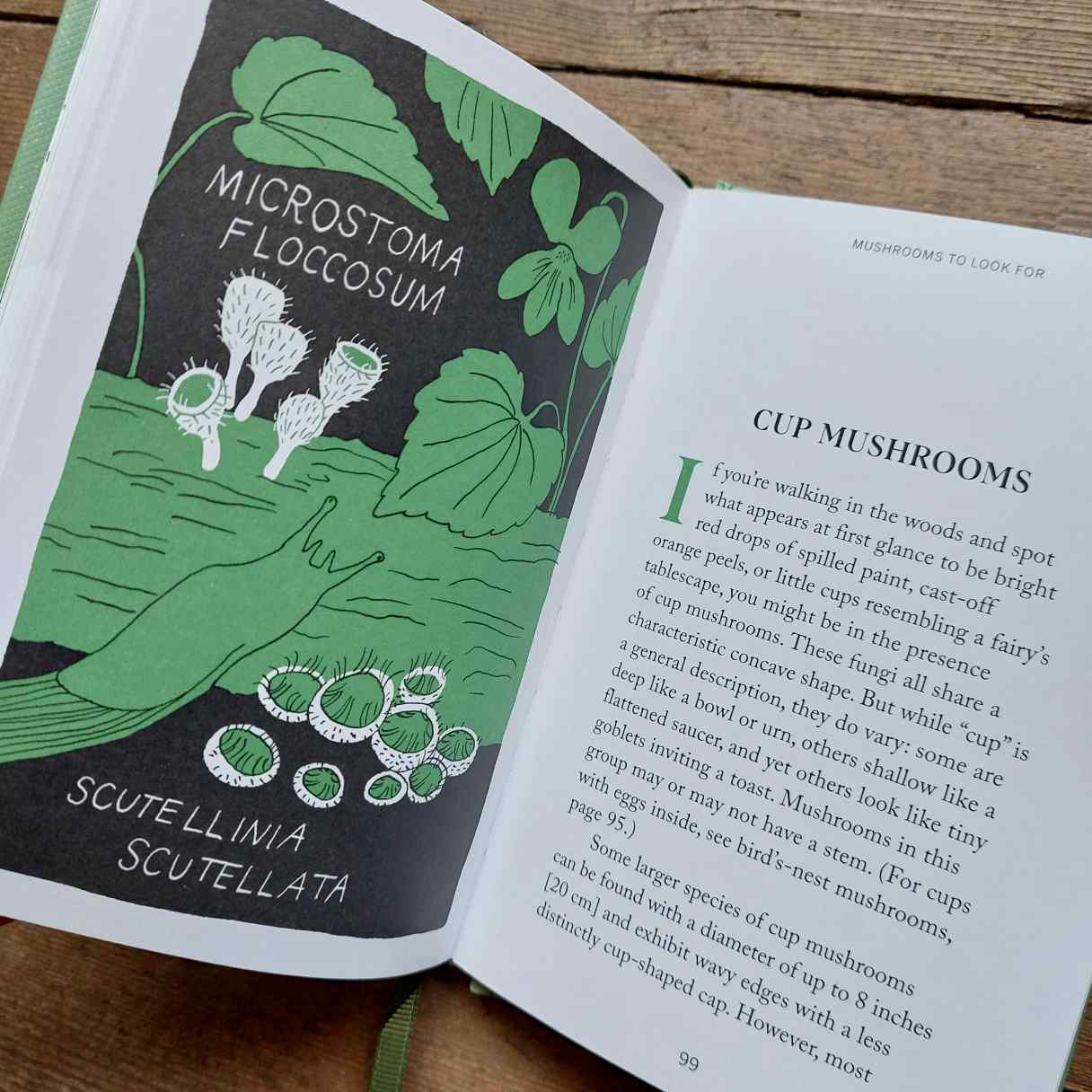 Mushroom Hunting Foraging Book