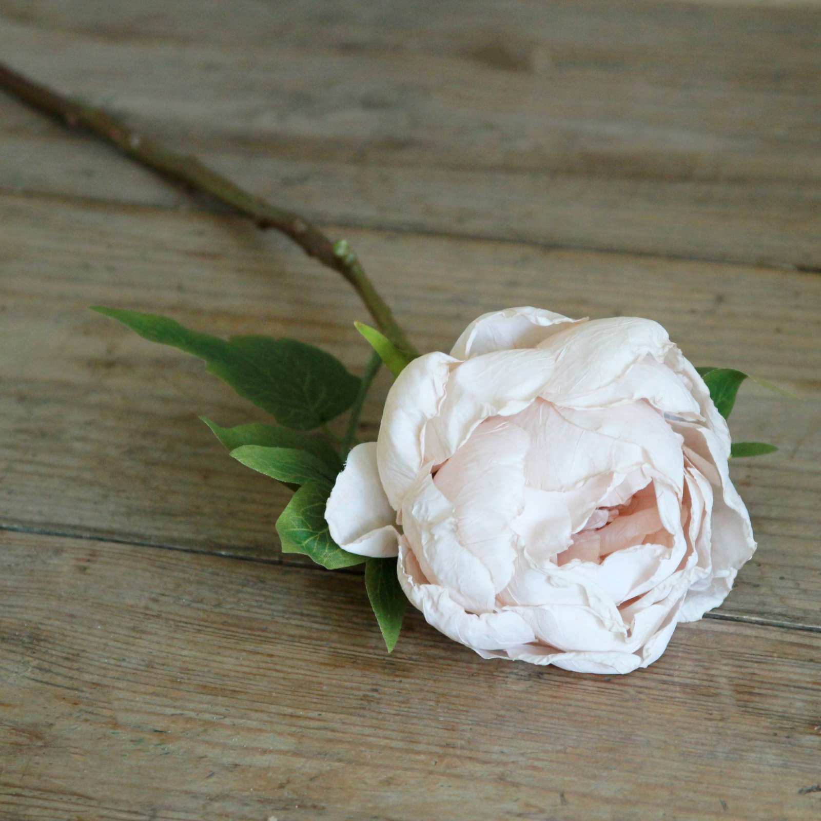 Silk Flower - Dried Peony - Oyster