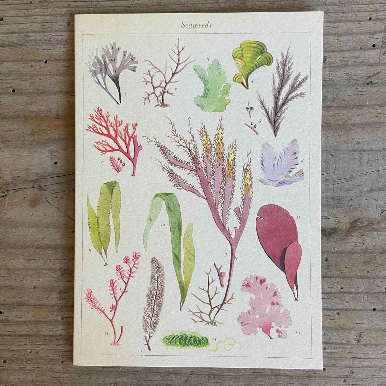 Vintage Seaweed Greeting Card