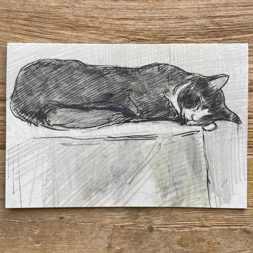 Sleeping Cat Vintage Card