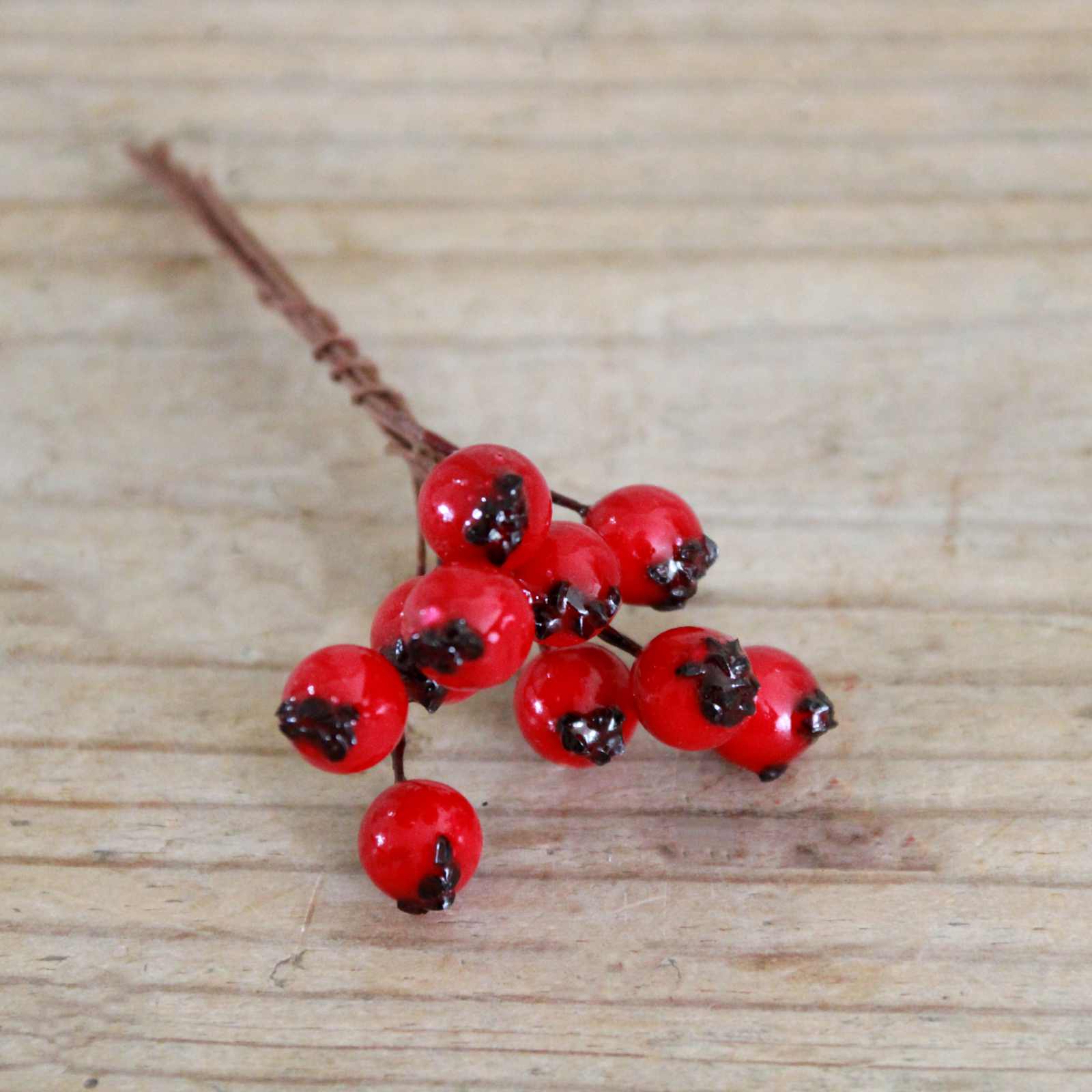 Red Berries on wire