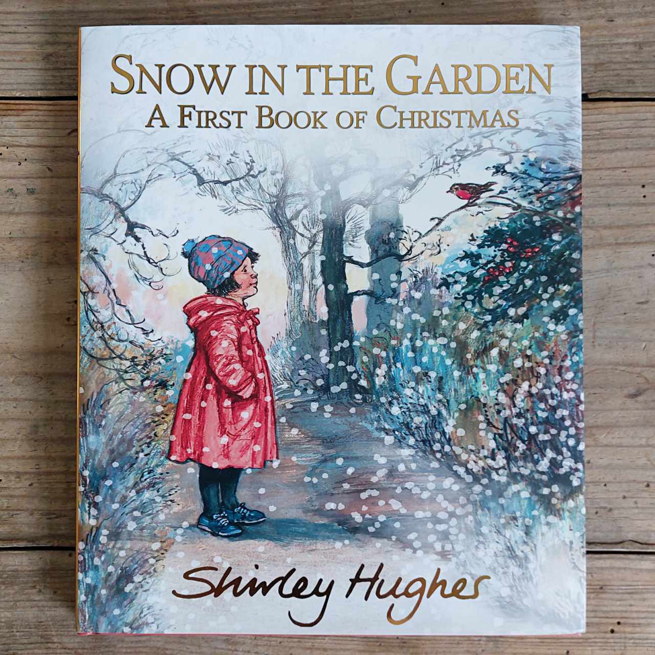 Snow in The Garden - A First Book of Christmas by Shirley Hughes