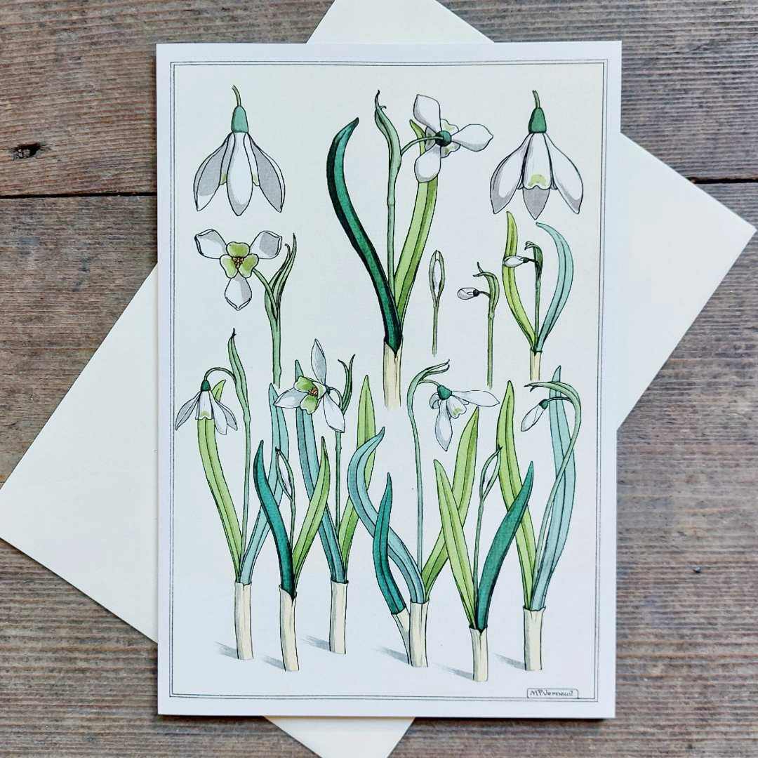 Snowdrops - Vintage Greeting Card