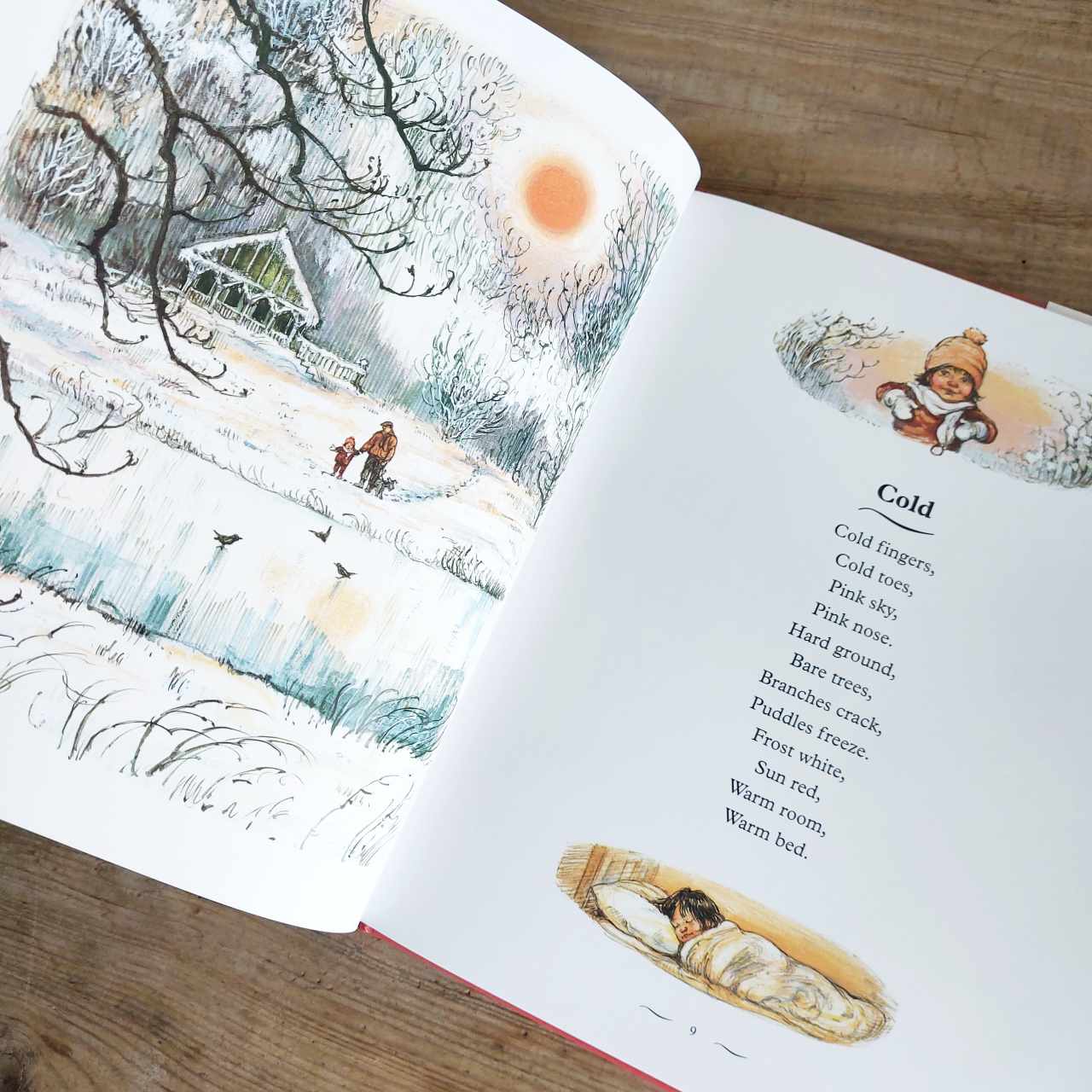 Snow in The Garden - A First Book of Christmas by Shirley Hughes