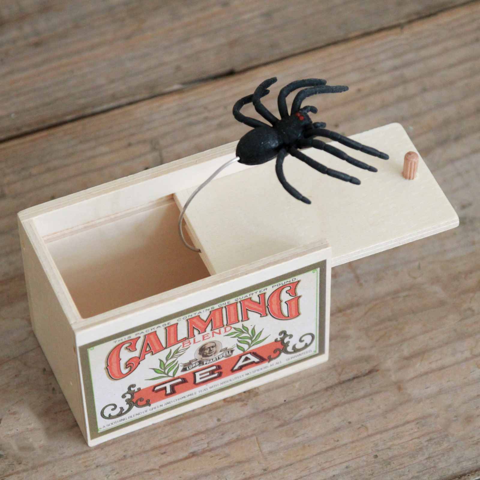 Spider Surprise Box