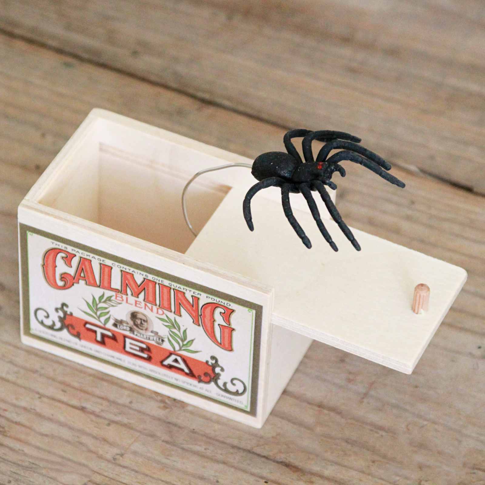 Spider Surprise Box