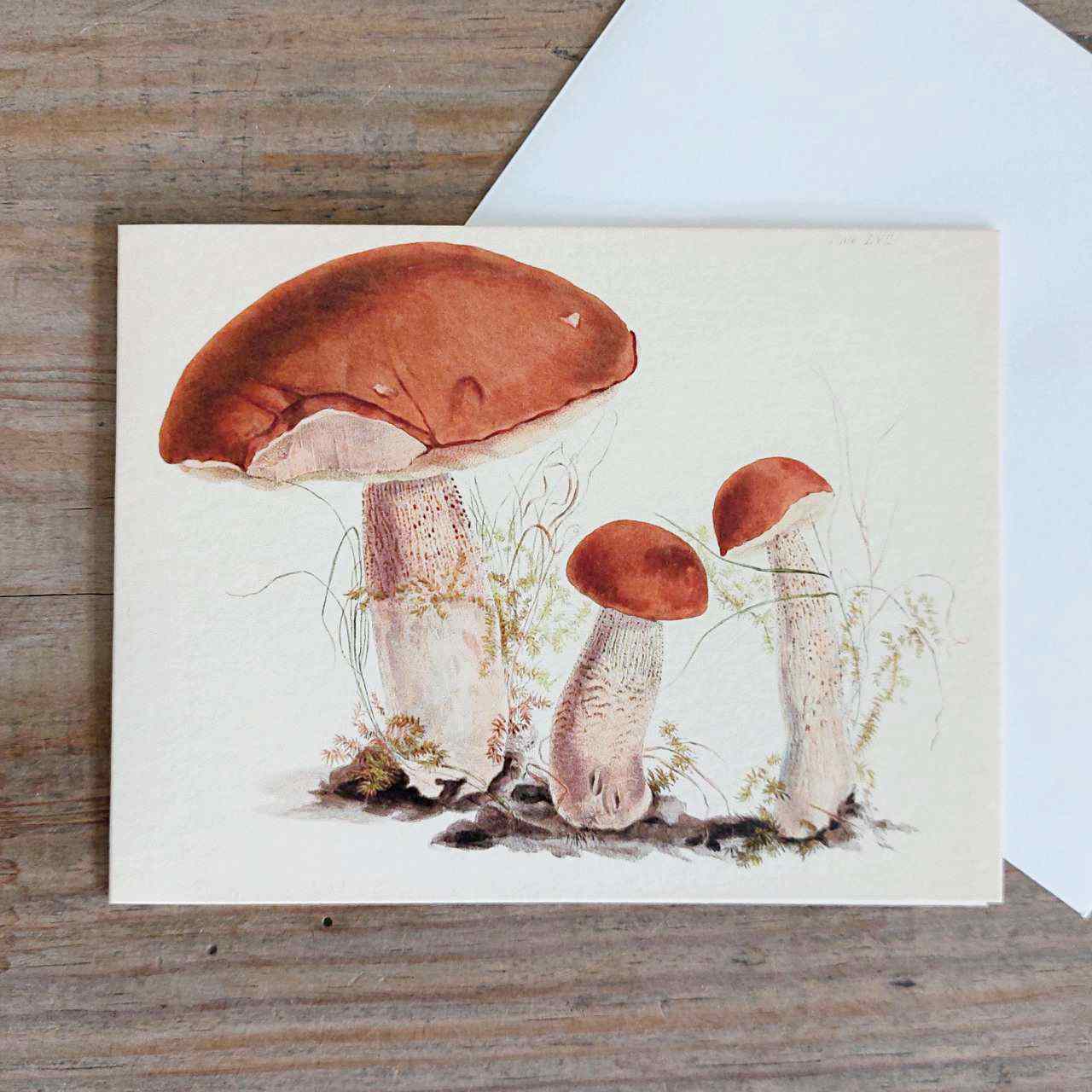 Three Mushrooms - Petite Vintage Greeting Card