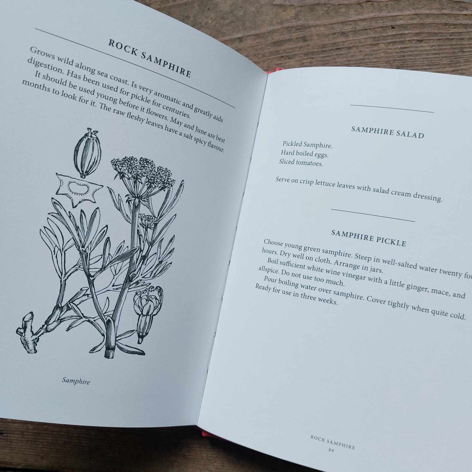 Wild Fruits, Berries, Nuts & Flowers Recipe Book