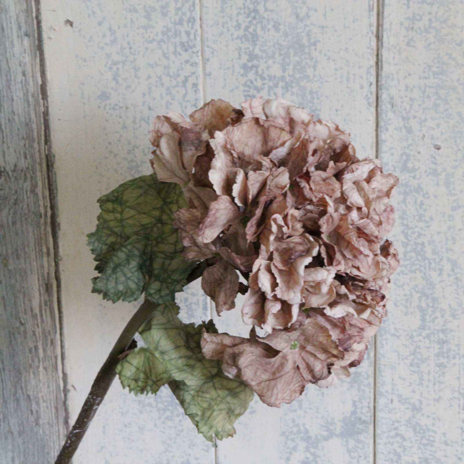 Silk Flower - Dried Hydrangea - Antique Blush