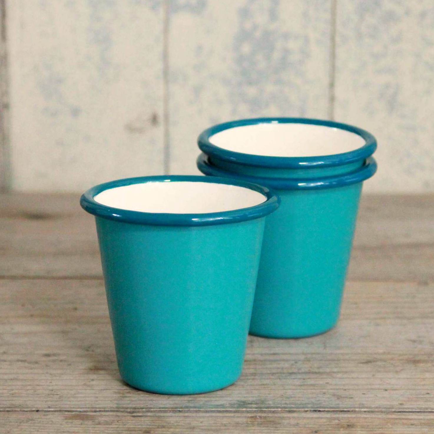 Enamel Tumbler - Teal