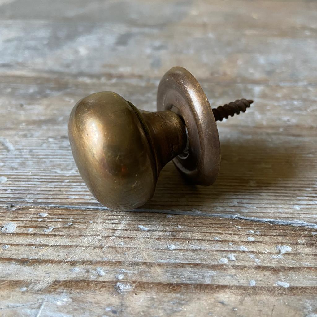 Antique Brass Knob - Homeware Store