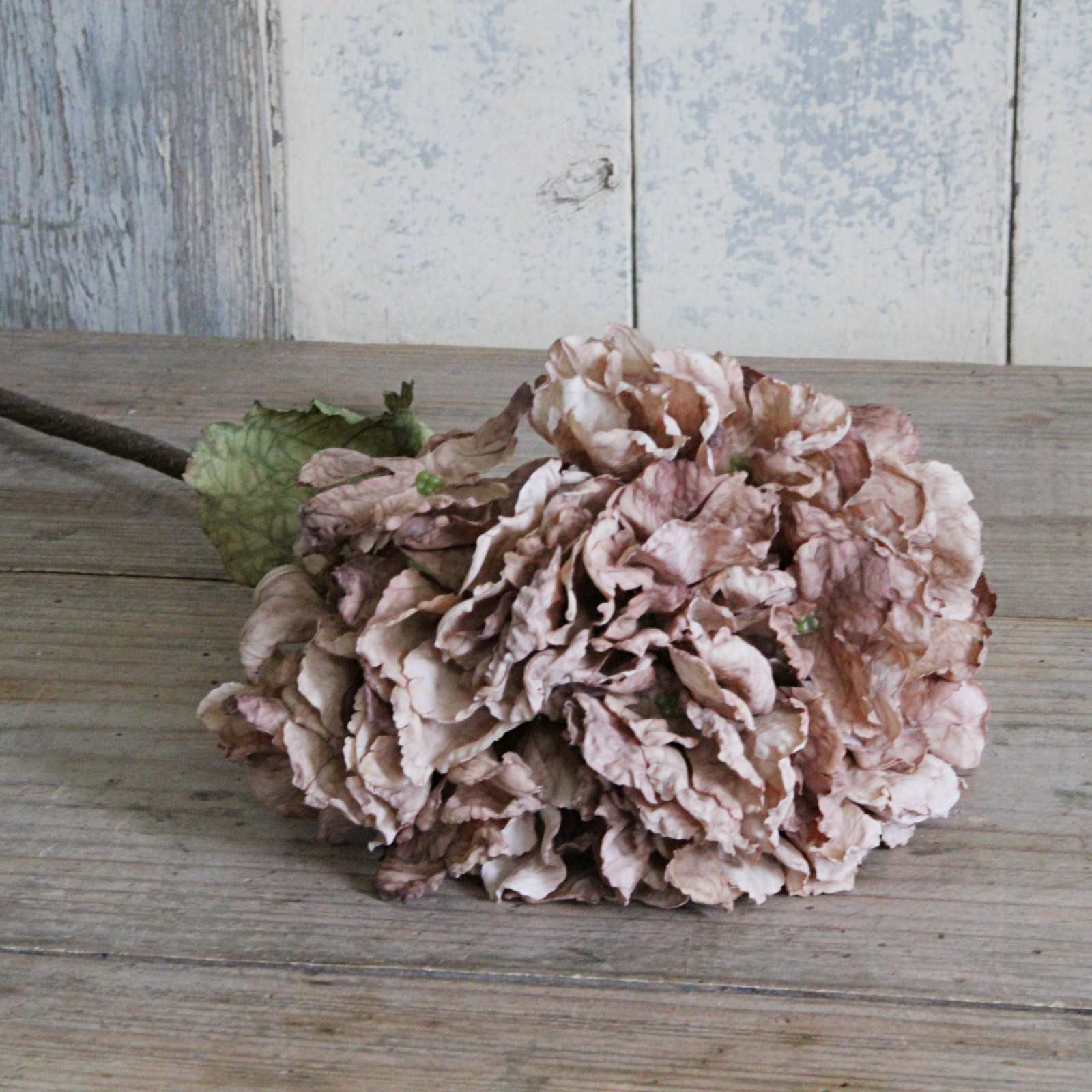 Silk Flower - Dried Hydrangea - Antique Blush