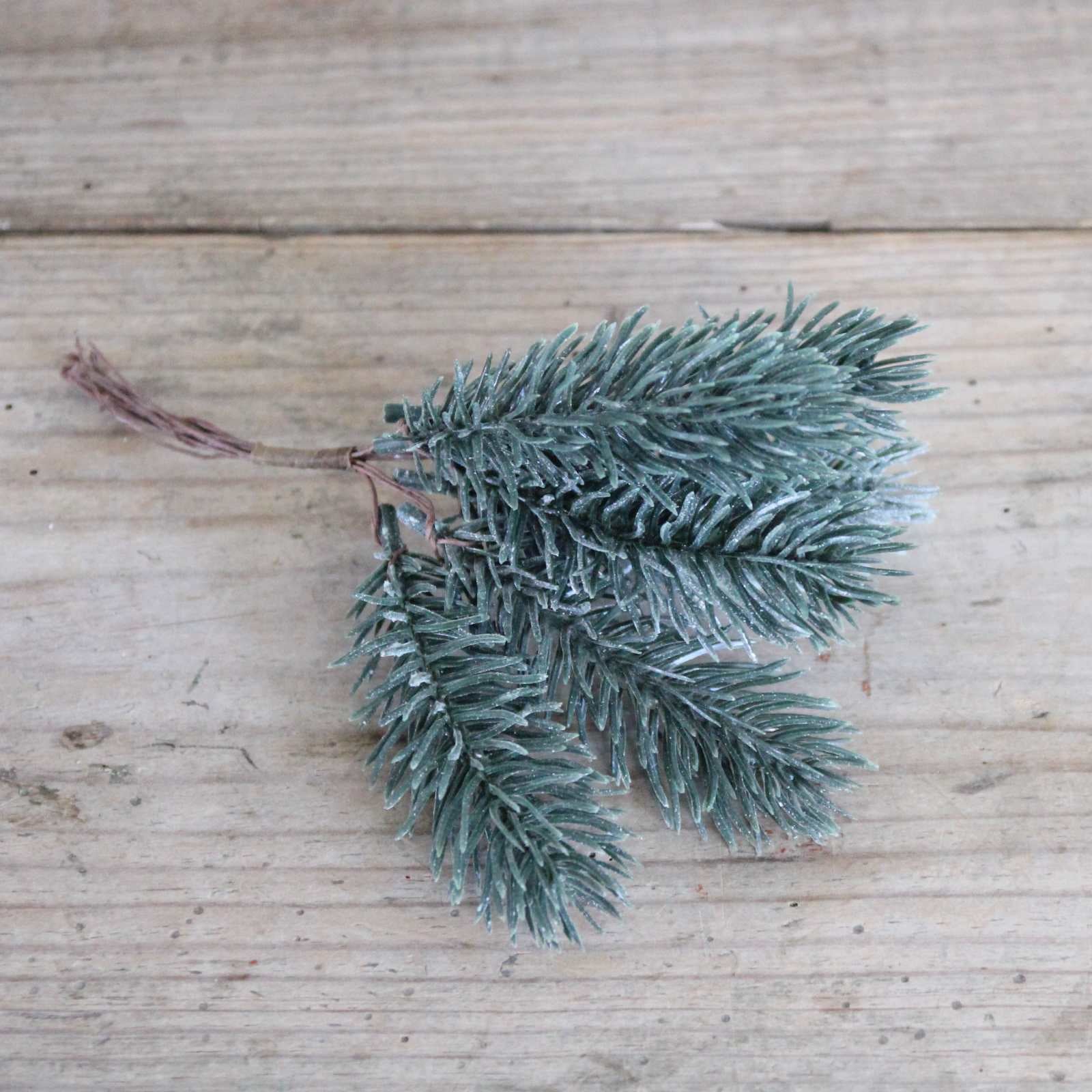 Woodland Pine Bunch