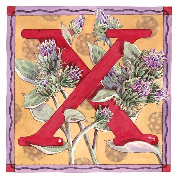 Vintage Card with Botanical Alphabet letter X