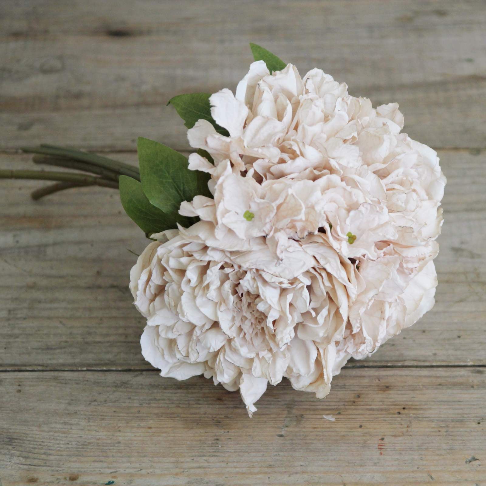 Silk Flower - Dried Peony Bunch - Oyster