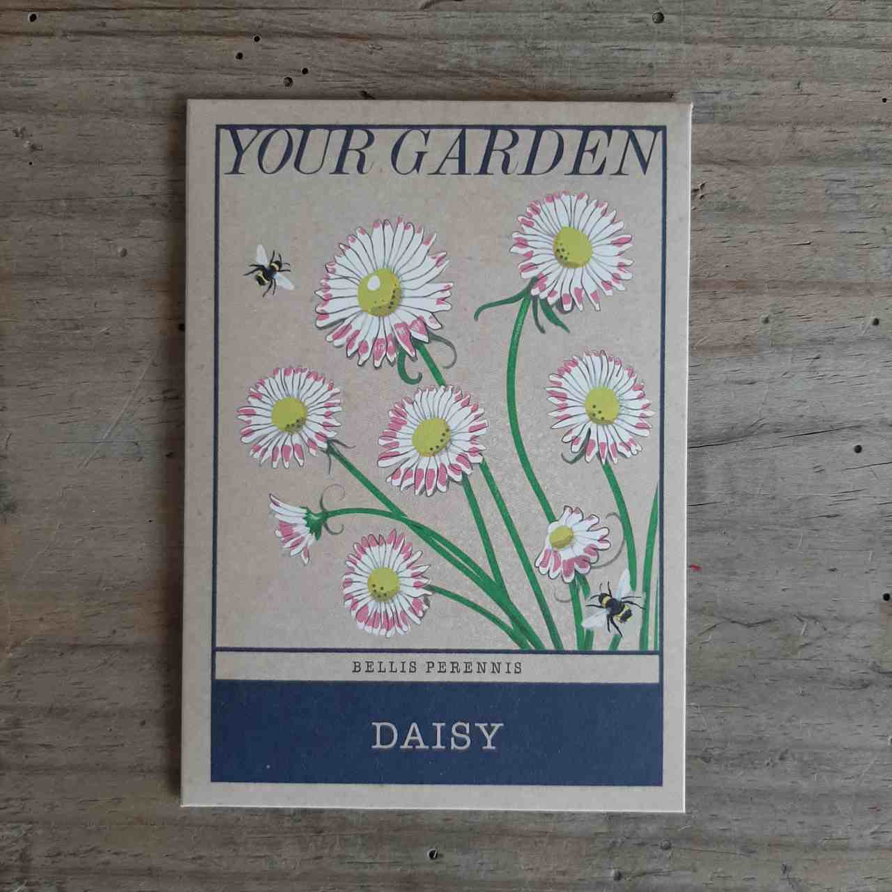 Garden Flower Seeds