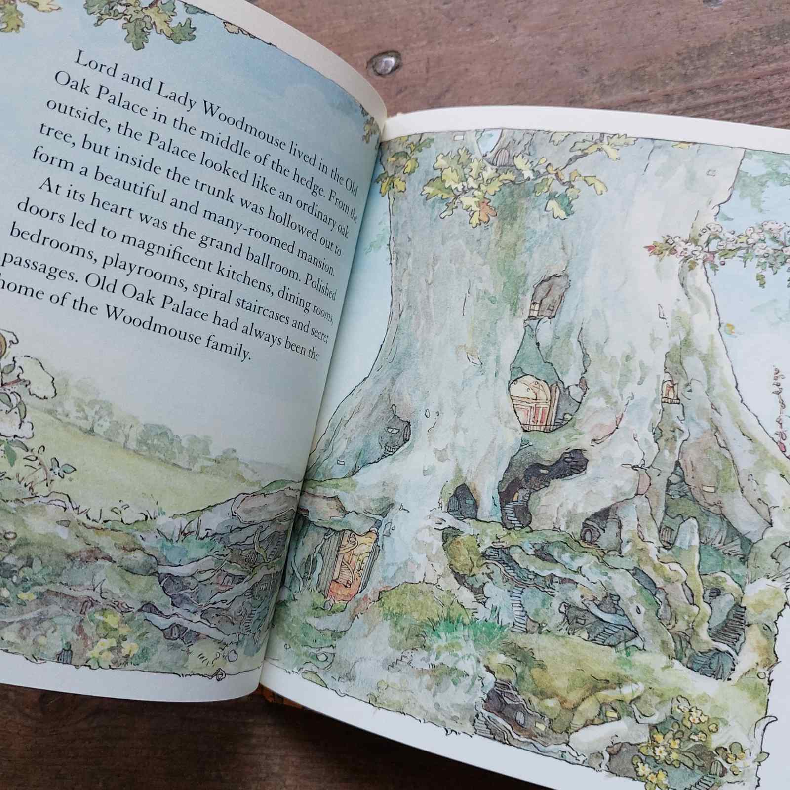 Brambly Hedge - Spring Story